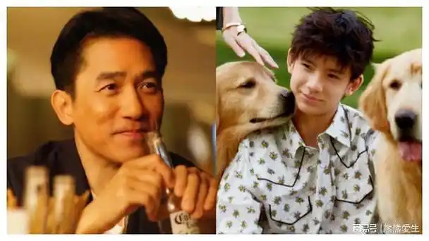 董洁儿子神似梁朝伟,尤其是大鼻子,两边网友吵了起来