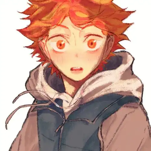 生日快乐日向翔阳