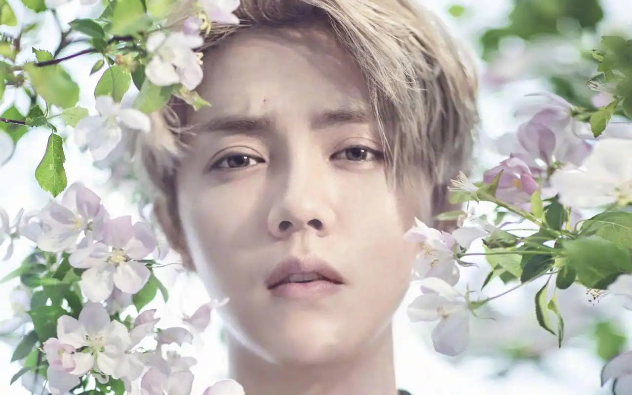 鹿晗小鲜肉帅气美图