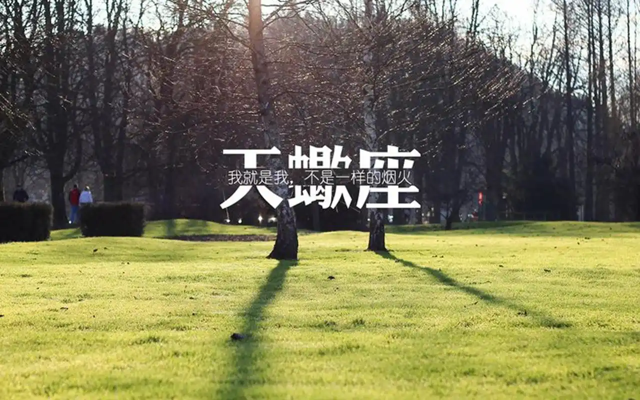 天蝎座文字语录图片桌面壁纸