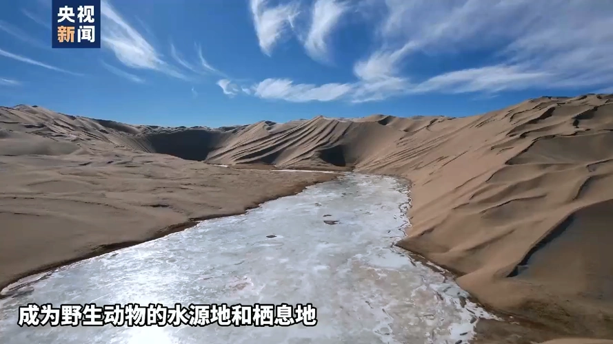 在新疆巴州阿尔金山国家级自然保护区,汩汩涌出的泉水形成沙子河.