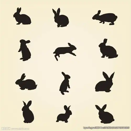 兔子剪影图片