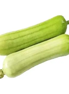 湖南白玉丝瓜牛奶丝瓜新鲜嫩肉丝瓜白水瓜甜香蔬菜现摘饭店直供