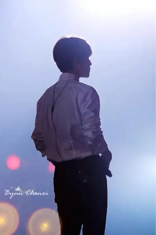 白衬衫的背影exo边伯贤