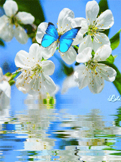 240_320竖版 竖屏gif 动态图 动图