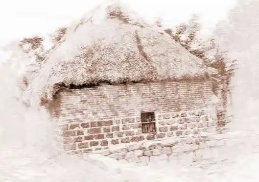 梦见茅房草屋意味着什么