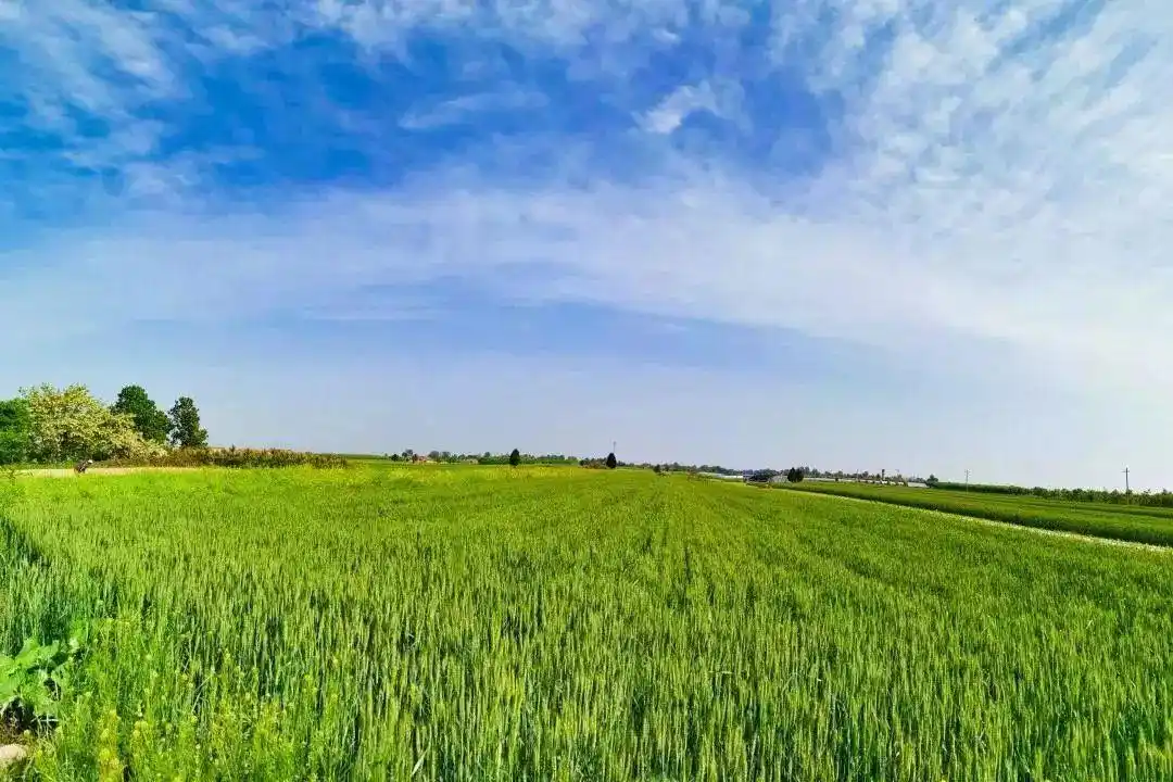 "6.25"主题:严格保护耕地 节约集约用地