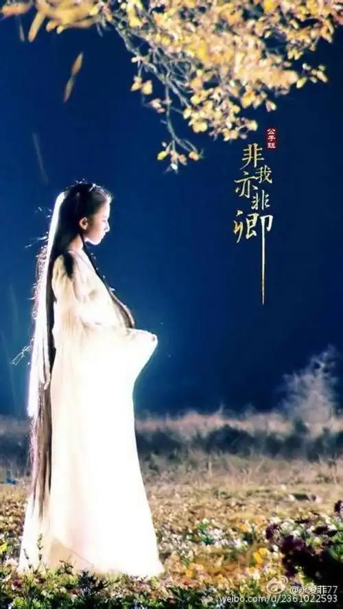 电影三生三世十里桃花--白浅(刘亦菲)