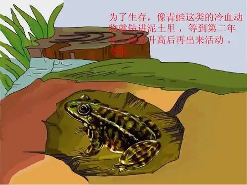 三年级科学《动物怎样过冬》课件ppt_word文档在线阅读与下载_无忧文