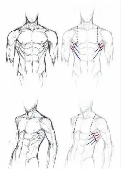 一大波男生的腹肌绘.