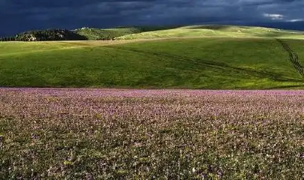 张家口五花草甸景区门票