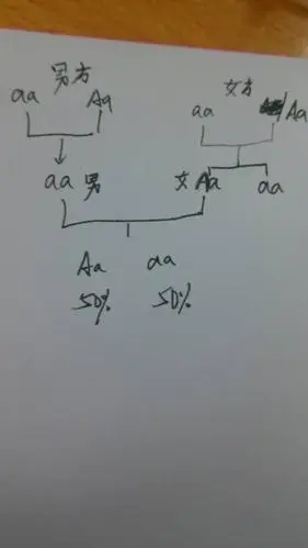 女方为双眼皮,其母亲为单眼皮,父亲为双眼皮,姐姐是单眼