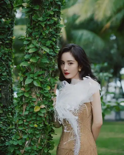杨幂金色白纱领高开衩长裙写真图片