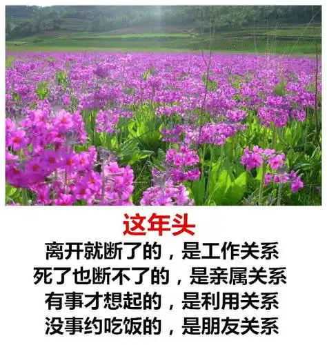 现在的人,太现实,人生经典实在话,全是大实话!(超经典)