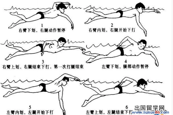 游泳技巧大全