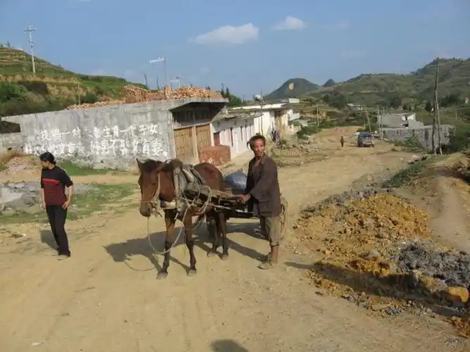 镇雄县林口乡菜子村