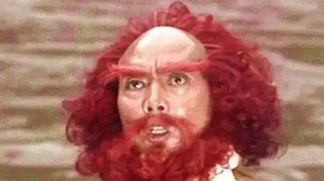 保护师傅,还曾跟沙和尚交过手,而当时的沙僧一头怒发冲冠的红色头发