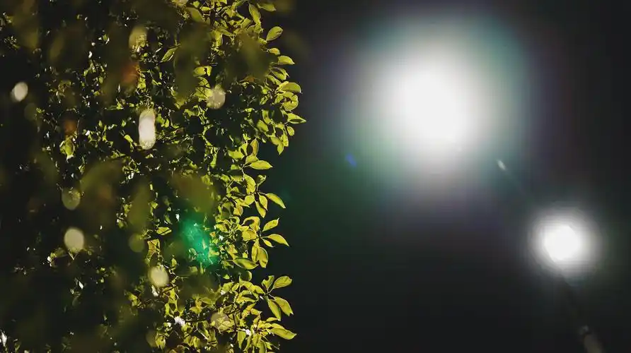 凌晨的城市如此安静