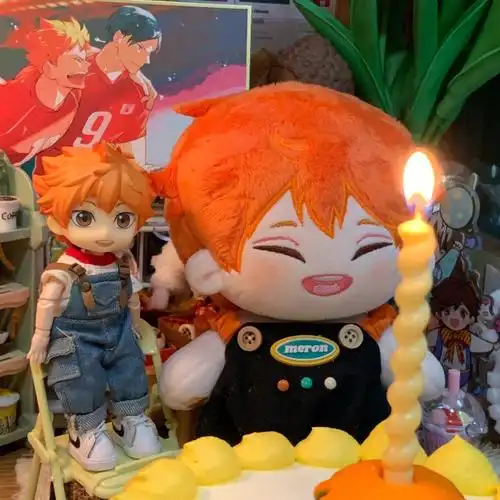 日向翔阳生日快乐