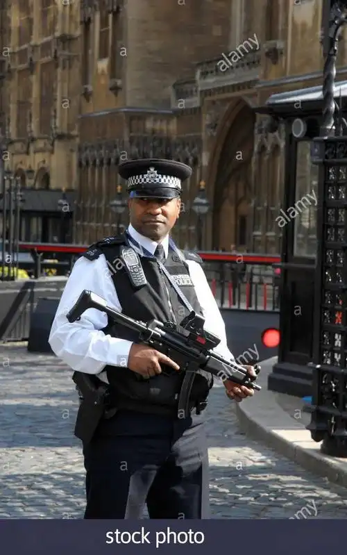gate keeper —— 伦敦大都会警察厅 议会及外交安保组 padp_威斯敏斯
