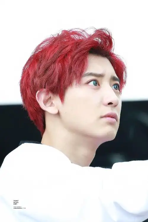 朴灿烈证件照##朴灿烈周边