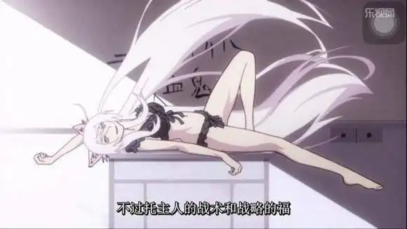 这部动漫都是美女,颜值极高,每一个都是舔屏向的角色