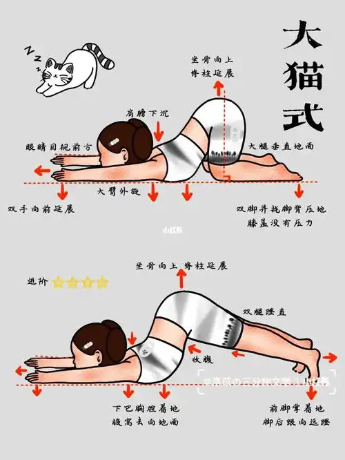 每天"猫趴"十分钟,缓解一天肩颈酸痛07