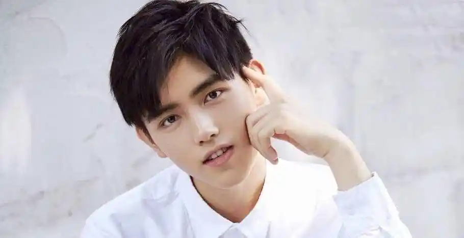 原创二哈和白猫师尊罗云熙和陈飞宇确认出演你期待吗