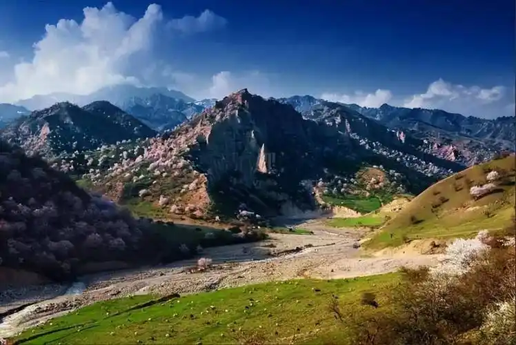 新疆霍城大西沟,美得感天动地!_伊犁_樱桃_野果