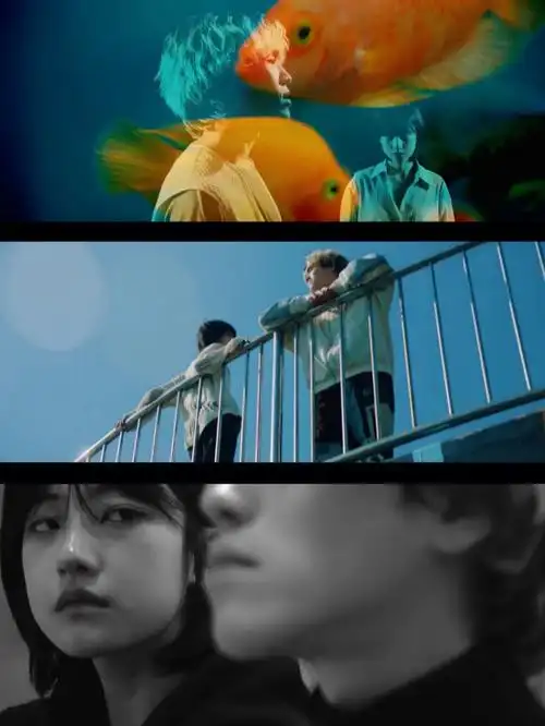 和mv学拍照punchnellous