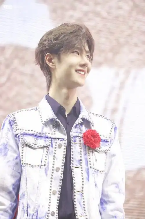 王一博×陈情令南京演唱会