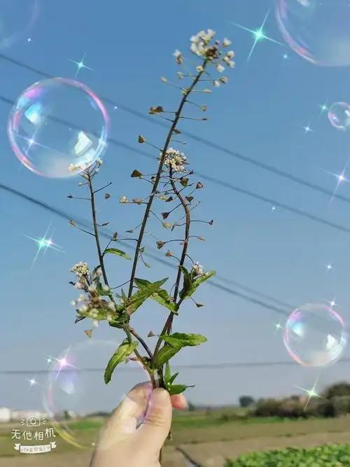 后知后觉的主页 - 抖音