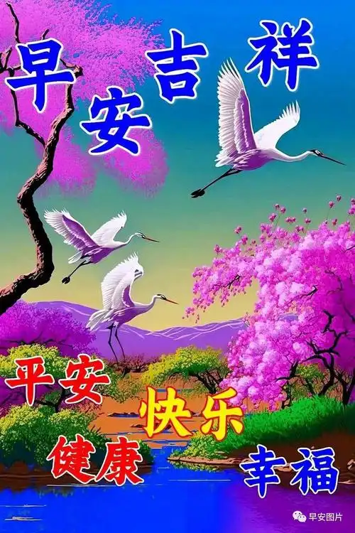 愿我们身体健康,心态年轻,岁月不老,快乐同行!吉祥快乐!早上好!