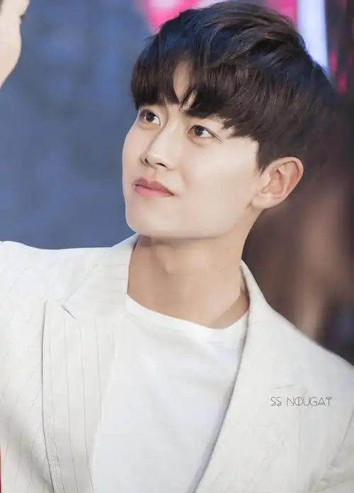 娱乐圈爆料:郑爽,倪妮,宋茜,秦岚,任嘉伦,王鹤棣_团队_韩红_态度