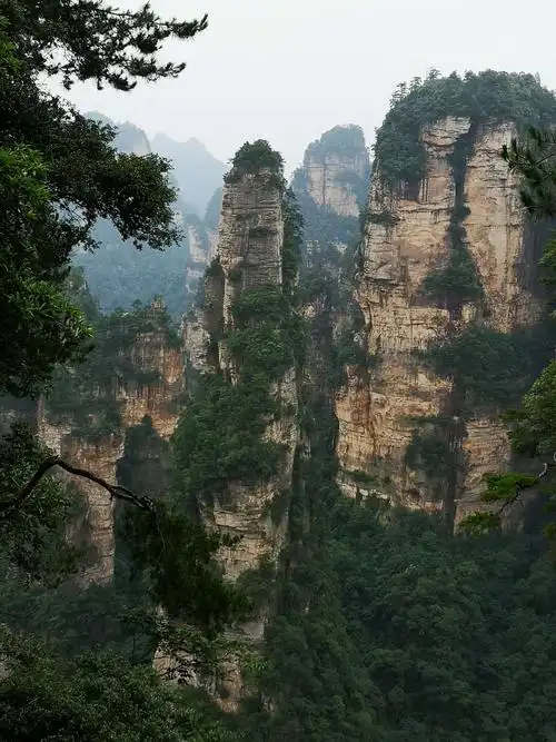 张家界有3000多座奇异的独立山峰,800多条幽深莫测神秘沟谷.