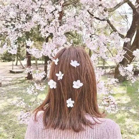 480x480快手头像女背影唯美2020有意境唯美女生快手头像