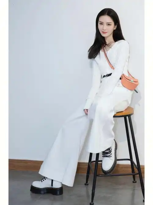 刘诗诗的moynat包包