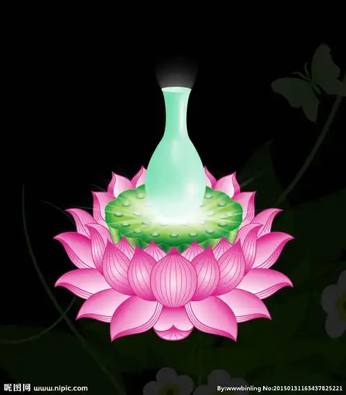 rgb100共享分举报收藏立即下载×关 键 词:莲花 圣水瓶 佛光 莲花