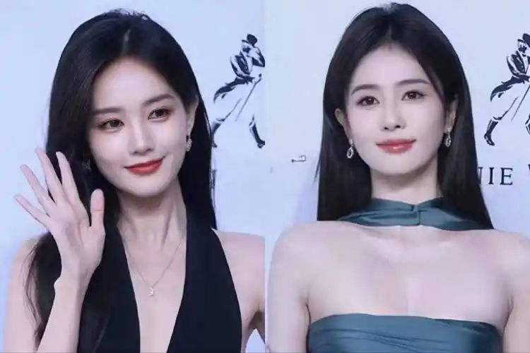 李一桐的崛起与挑战相较于白鹿的迅速崛起,李一桐似乎一直没能突破