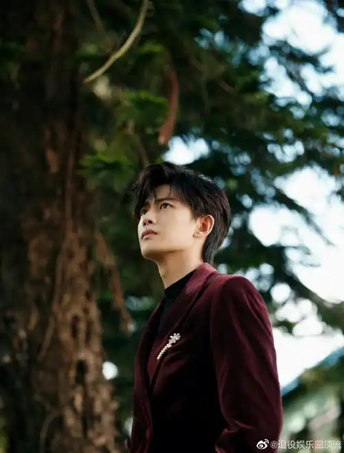 任嘉伦红丝绒西装造型九宫格