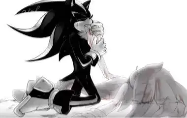 【漫画amv】索尼克—sonadow comic - pain