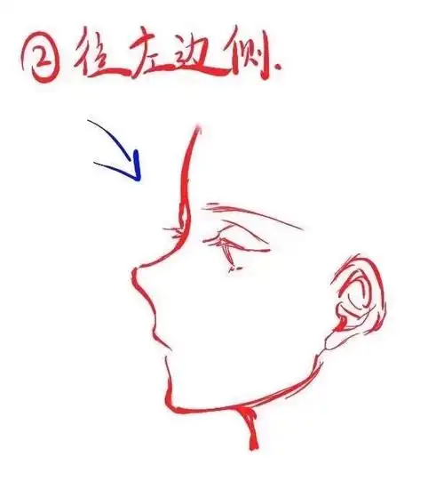 侧脸画法 - 堆糖,美图壁纸兴趣社区