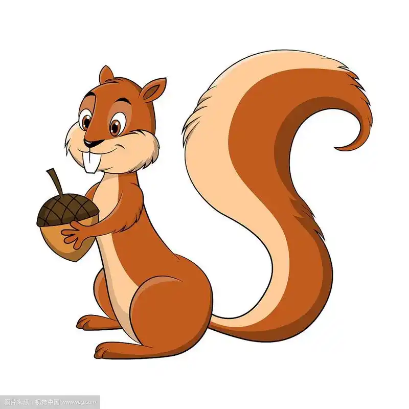 一只松鼠的卡通图画