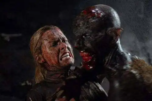 欧美血腥恐怖电影10大推荐,第10个一直都不敢看