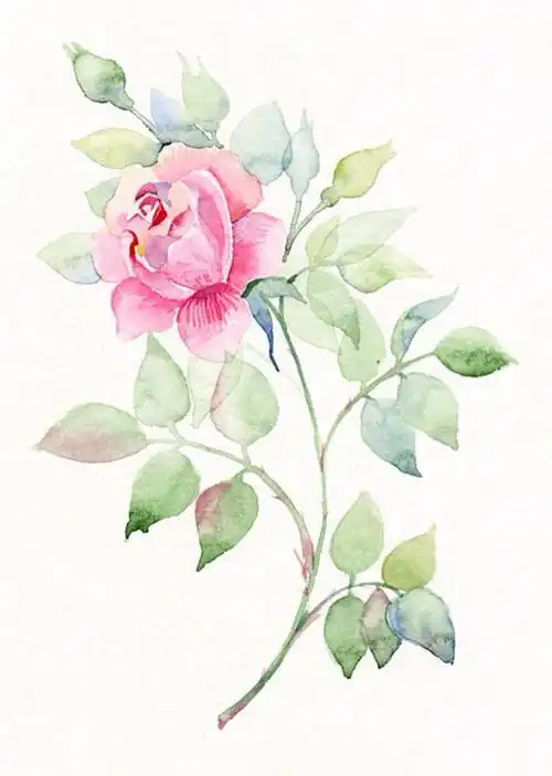 水彩手绘花卉小清新