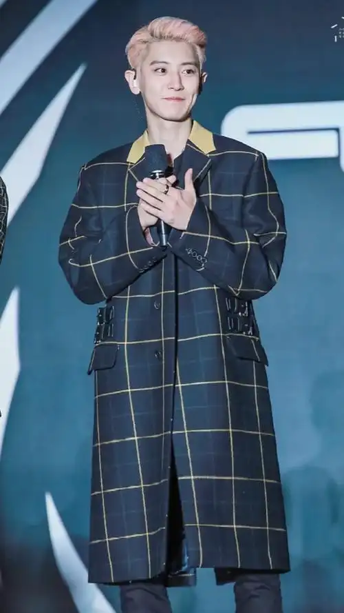 朴灿烈/黄线黑格子大衣太好看了!