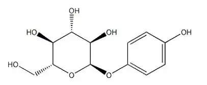 α熊果苷的功能与应用