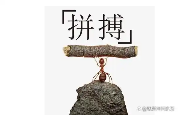 或许是因为自己知道身后没有靠山的缘故吧,除了靠自己,其他都是一无