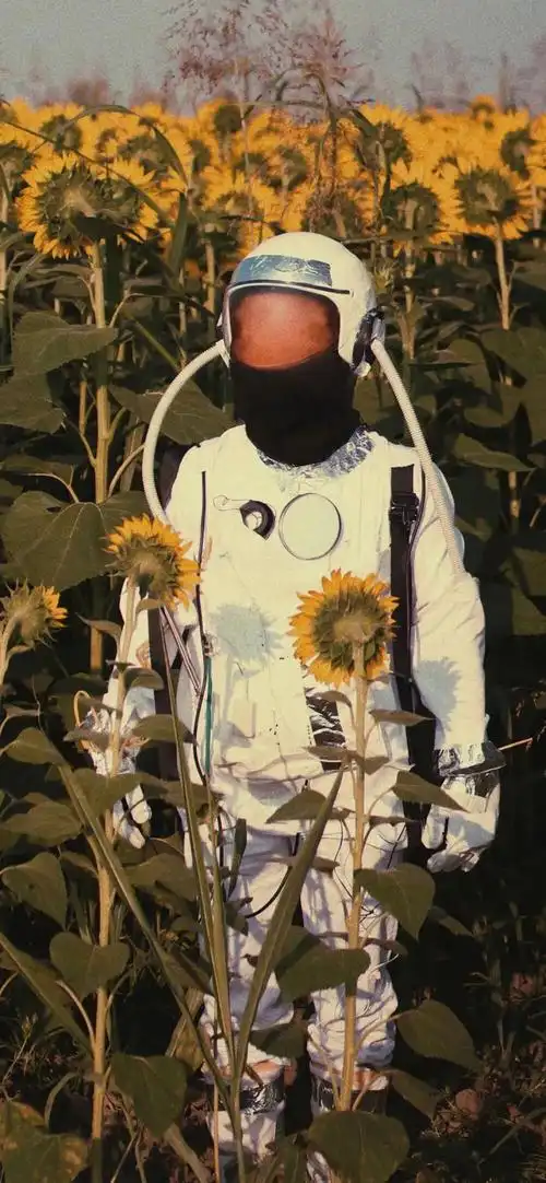 抖音上很火的文案壁纸壁纸抖音热门文案建议保存