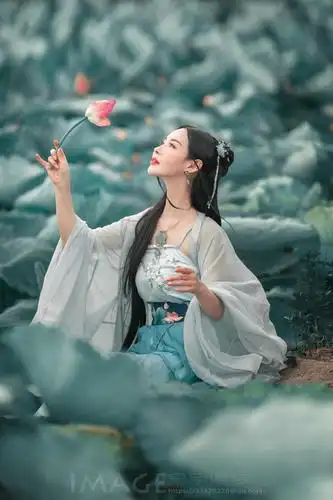 古装摄影荷花仙子美女图片人像摄影